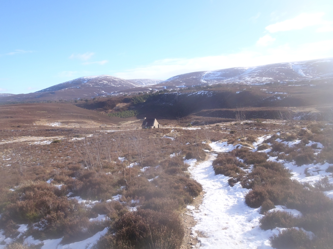 Day 1 - Glenmore - Meall a' Bhuacaille - Creaan Gorm - Strath Nethy