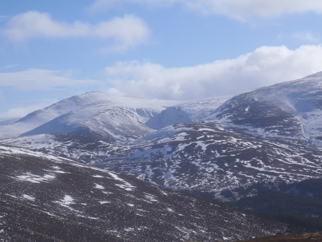 Day 1 - Glenmore - Meall a' Bhuacaille - Creaan Gorm - Strath Nethy
