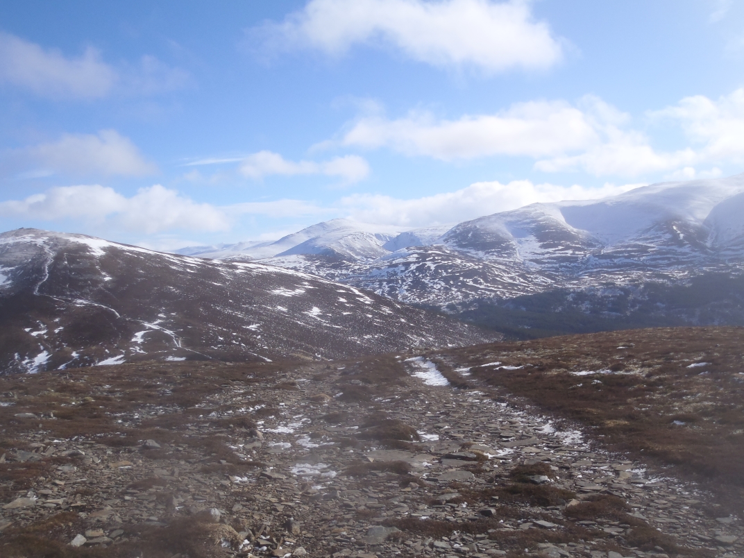 Day 1 - Glenmore - Meall a' Bhuacaille - Creaan Gorm - Strath Nethy