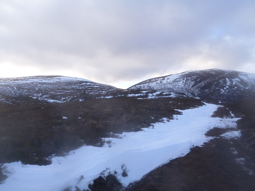 Day 1 - Glenmore - Meall a' Bhuacaille - Creaan Gorm - Strath Nethy