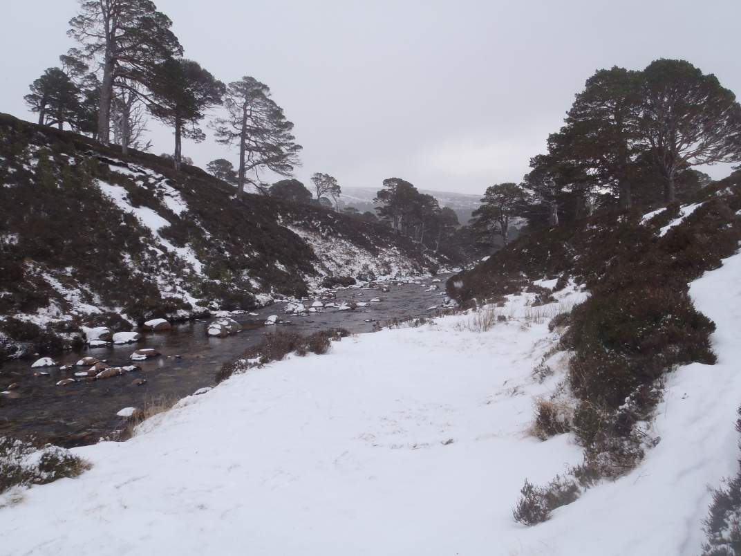 Day 3 - Huchinson Bothy - Derry Lodge - Corrour Bothy