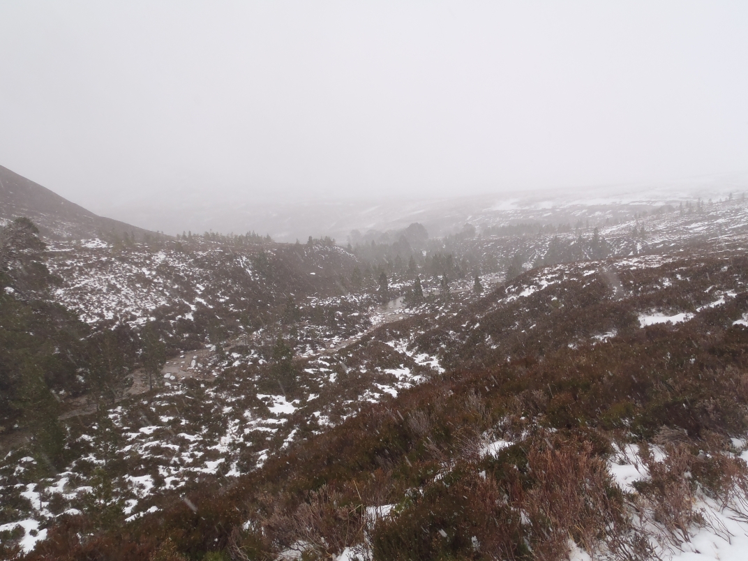Day 3 - Huchinson Bothy - Derry Lodge - Corrour Bothy