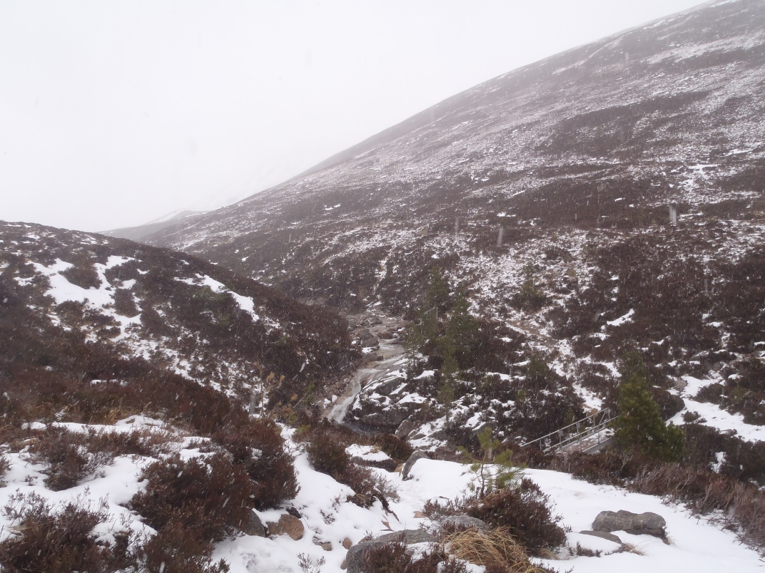 Day 3 - Huchinson Bothy - Derry Lodge - Corrour Bothy