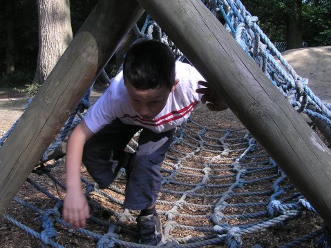 Assault Course