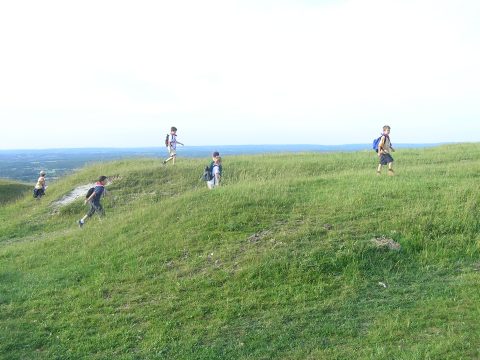 Walking