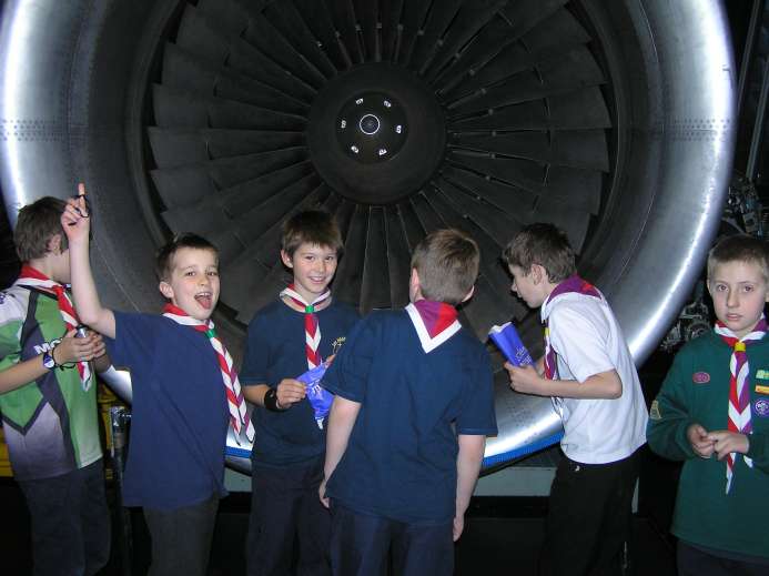Cubs by a jet engine