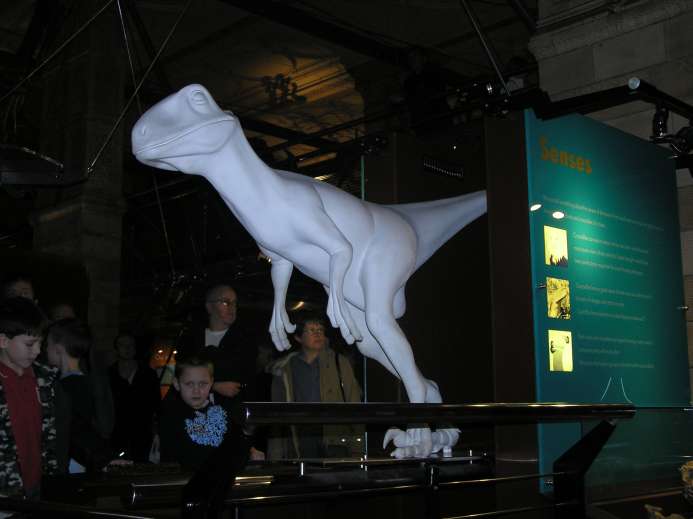 Dinosaur