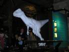 Dinosaur