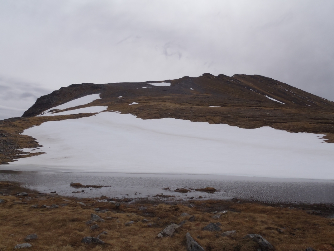 Day 2 - An Coileachan - Meall Gorm - Sgurr Mor - Meall a'Chrasgaidh - Sgurr nan Clach Geala - Sgurr nan Each