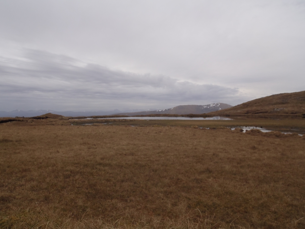 Day 2 - An Coileachan - Meall Gorm - Sgurr Mor - Meall a'Chrasgaidh - Sgurr nan Clach Geala - Sgurr nan Each