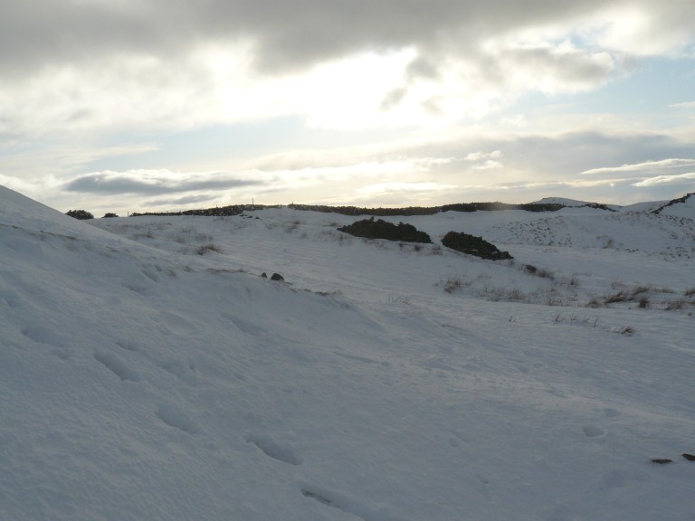 Ambleside - Wansfell Pike - Troutbeck - Jenkin Cragg - Ambleside