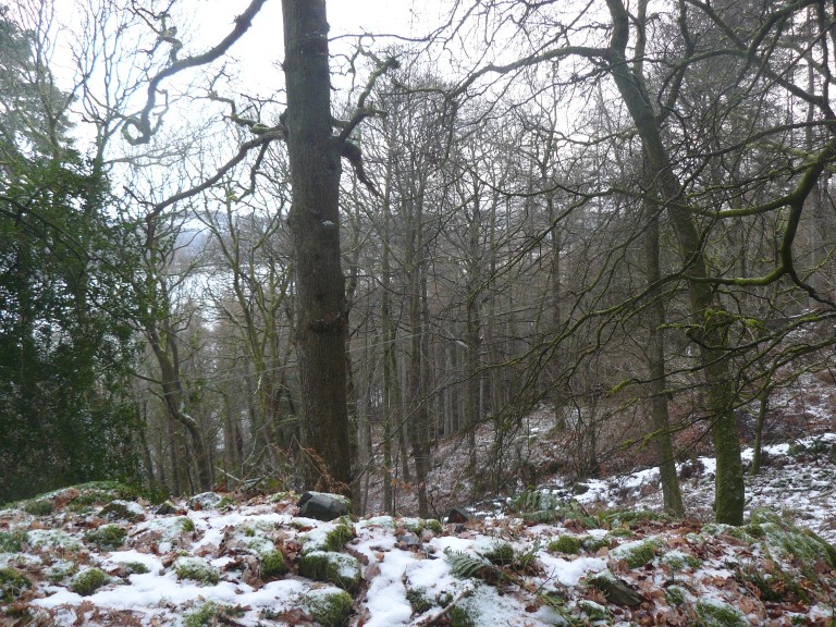 Station Scar Wood - Belle Grange - Low pate Cragg - Station Scar Wood