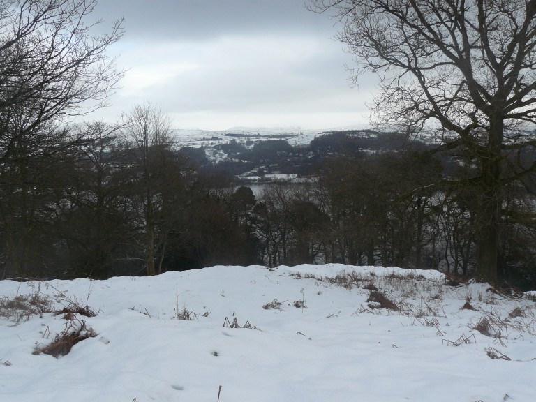Station Scar Wood - Belle Grange - Low pate Cragg - Station Scar Wood