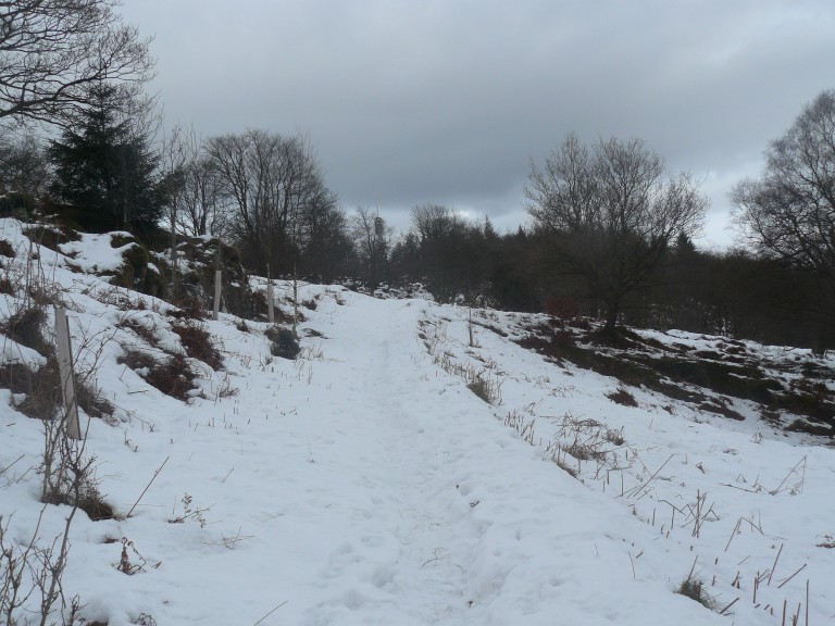 Station Scar Wood - Belle Grange - Low pate Cragg - Station Scar Wood
