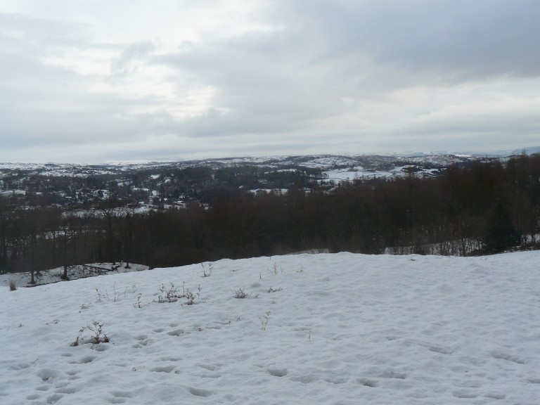 Station Scar Wood - Belle Grange - Low pate Cragg - Station Scar Wood