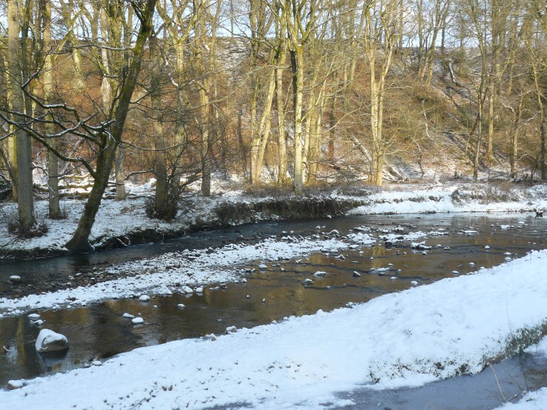 Waddecar