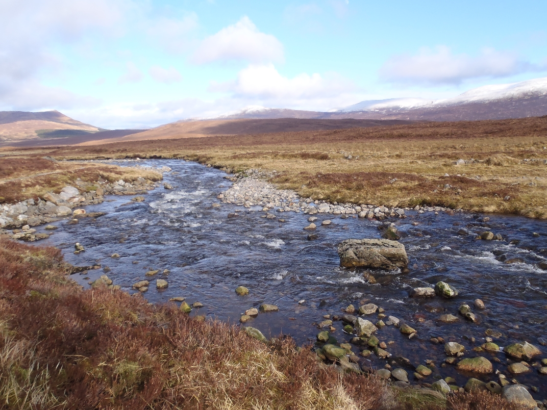 Day 2 - Carn Dearg + Diollaid a' Chairn