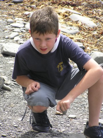Fossil collecting