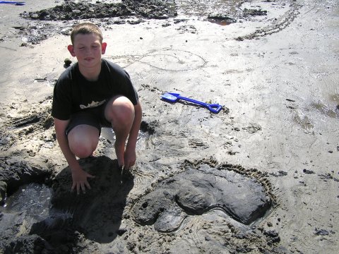 Sand sculpture