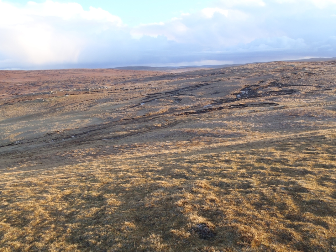 Day 2 - Cro Water - Rulkies Hill - Loch of Vollister