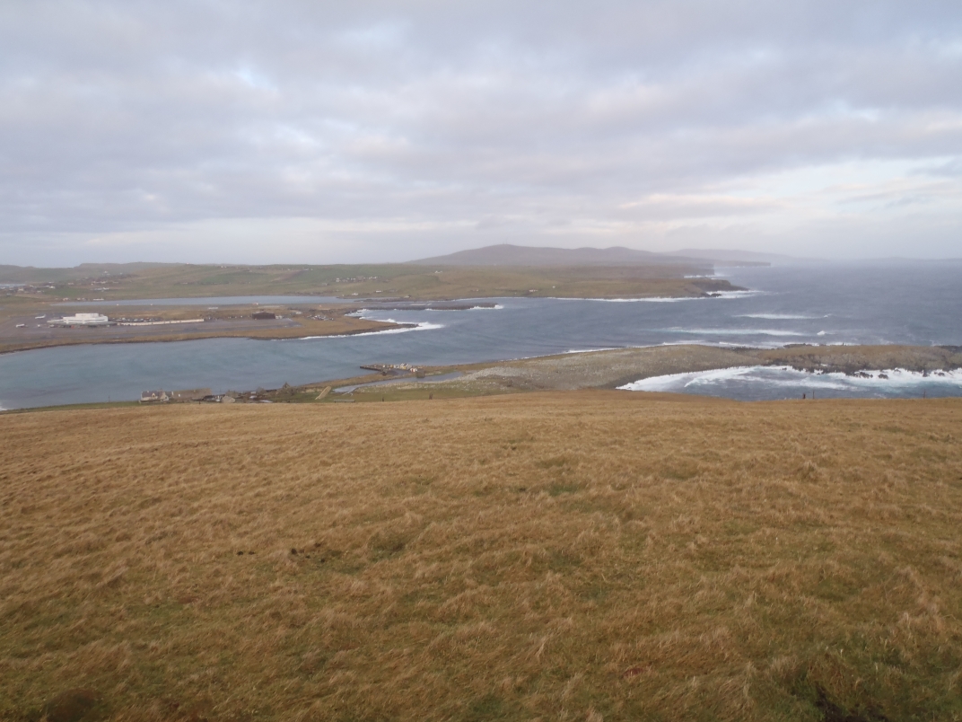 Day 6 - Sumburgh Head