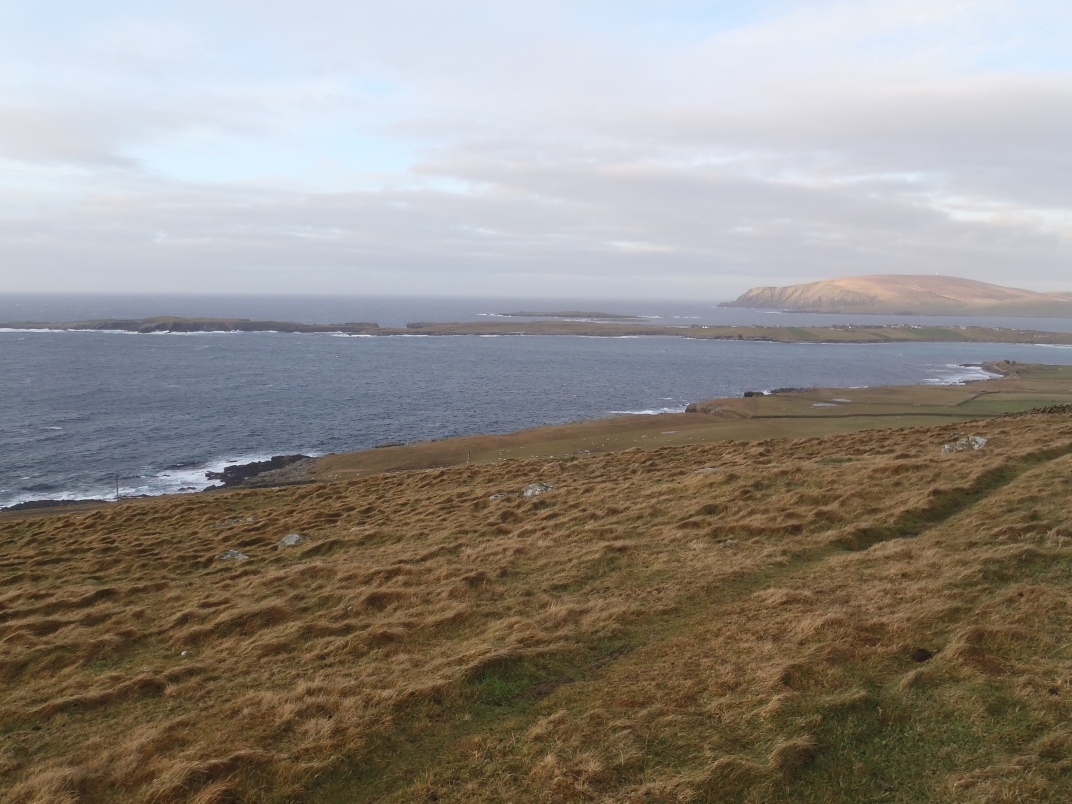 Day 6 - Sumburgh Head