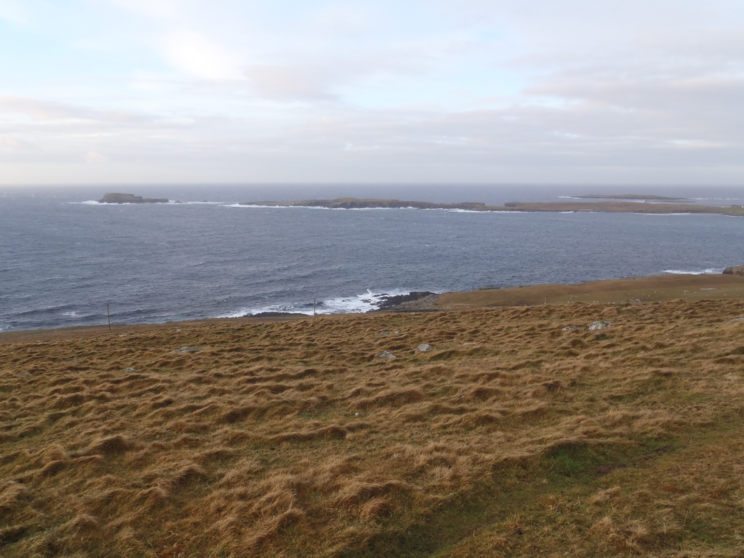 Day 6 - Sumburgh Head