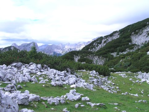 View from Debela Pec walk