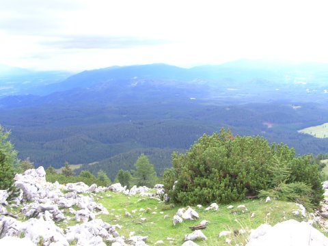 View from Debela Pec walk