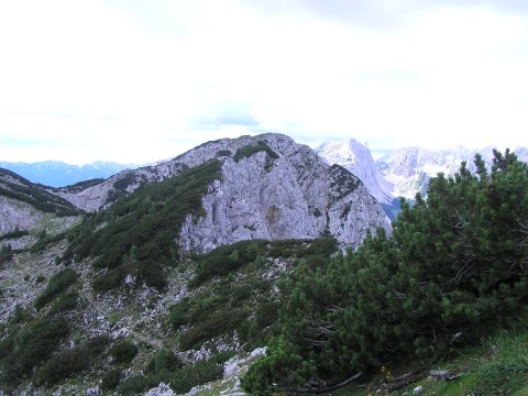 View from Debela Pec walk