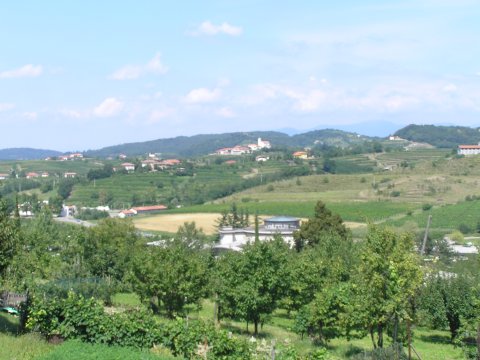 Vinoteka Brda
