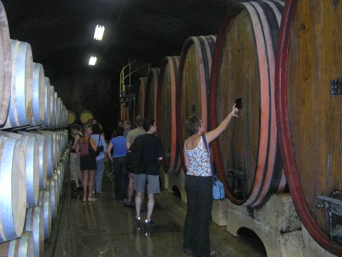 Vinoteka Brda