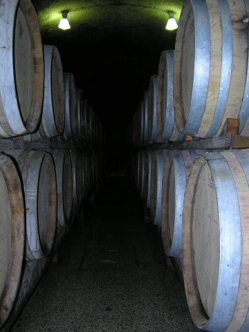 Vinoteka Brda
