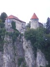 Bled castle