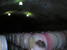 Vinoteka Brda