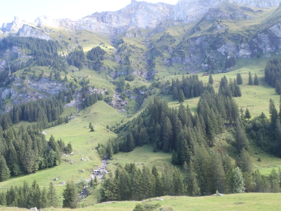 Day 2 - Griesalp - Sefinafurgga (2611m) - Rotstockhutte