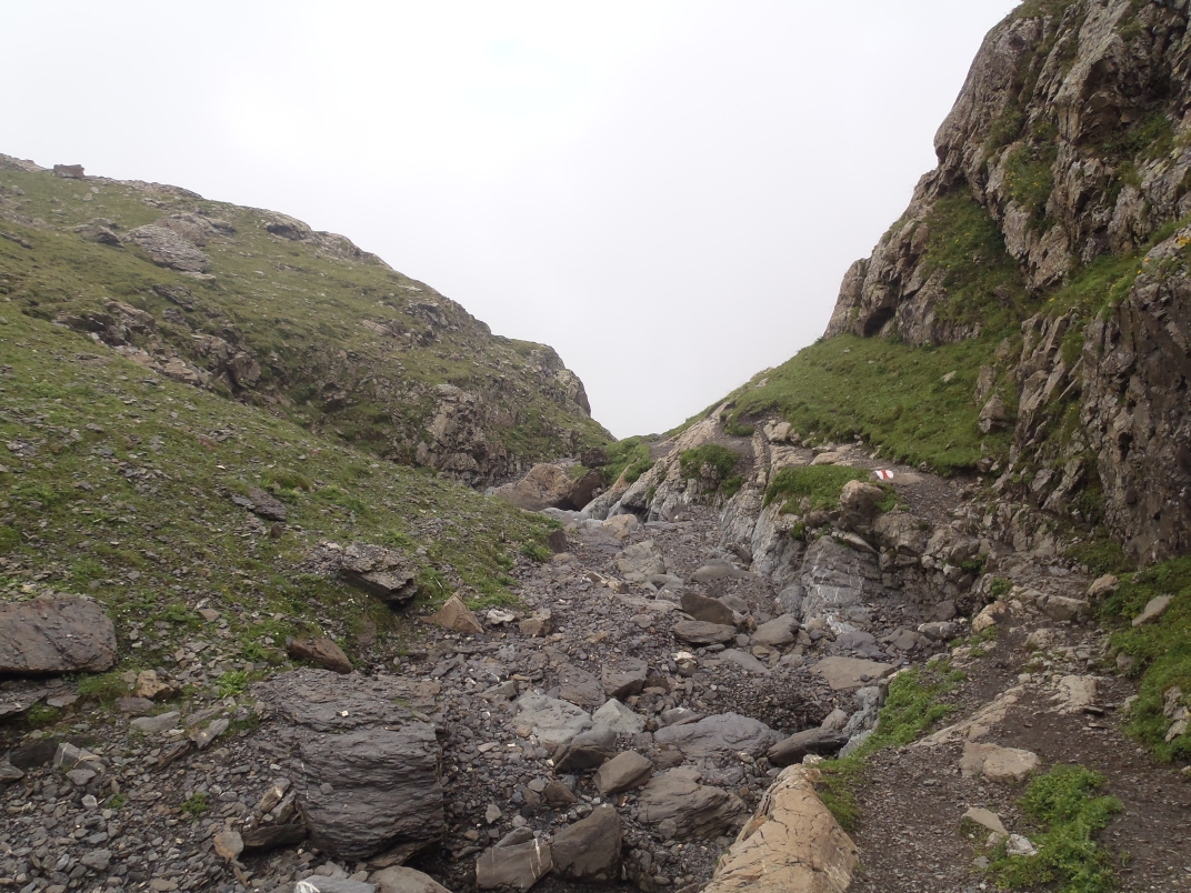 Day 2 - Griesalp - Sefinafurgga (2611m) - Rotstockhutte