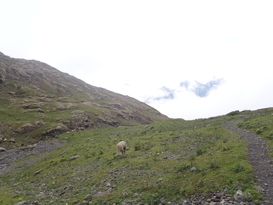 Day 2 - Griesalp - Sefinafurgga (2611m) - Rotstockhutte