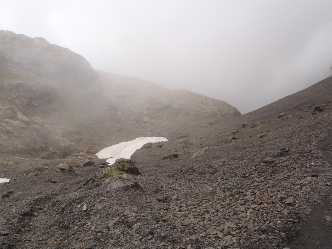 Day 2 - Griesalp - Sefinafurgga (2611m) - Rotstockhutte