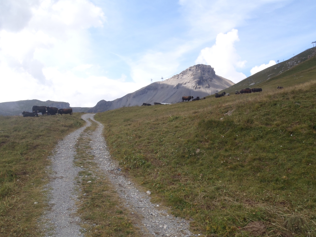 Lammerenhutte - Rothornlucke (3002m) - Cabane des Violettes