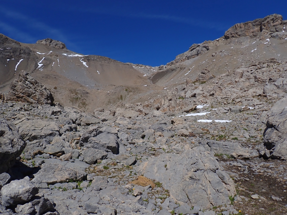 Day 5 - Cabane Des Violettes - Bella Lui - Wildstrubelhutte