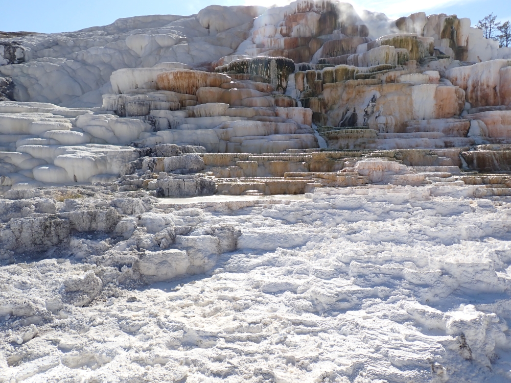 Mammoth Hot Springs, Yellowstone