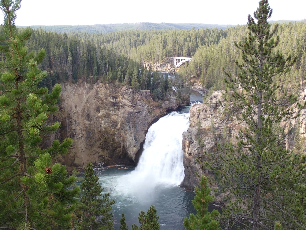 Yellowstone