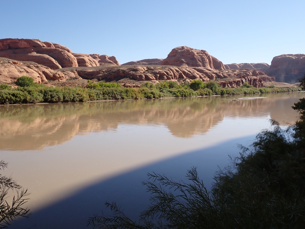 Potash Petroglyphs and Dinosaur Tracks