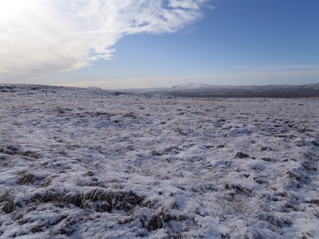 Dent - Great Knoutbury Hill - Blea Moor - Ribblehead