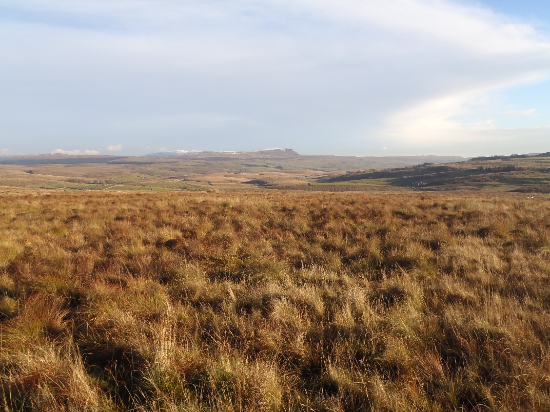 Dent - Great Knoutbury Hill - Blea Moor - Ribblehead