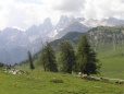 Holiday to the South Tyrol - July 2006