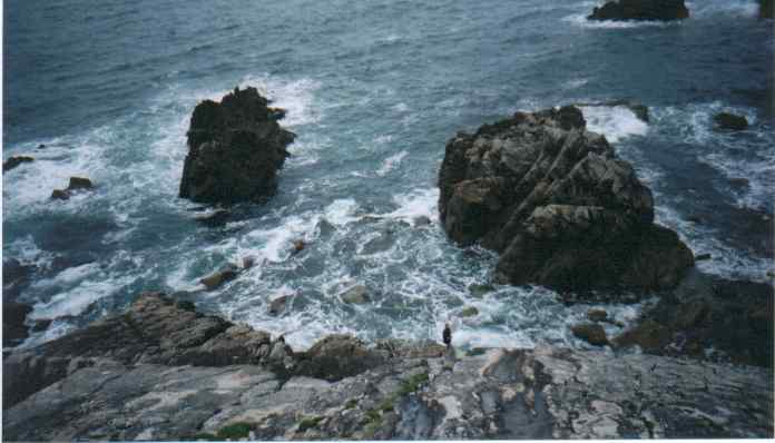 Ros on the rocks on the South West side of the island.