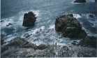 Ros on the rocks on the South West side of the island.