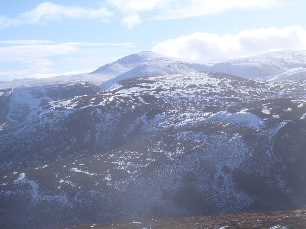 Day 1 - Glenmore - Meall a' Bhuacaille - Creaan Gorm - Strath Nethy
